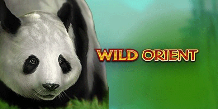 Tips Main Wild Orient Supaya Peluang Menang Lebih Besar